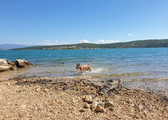 Pintadesol By Interhome Daire Čižići