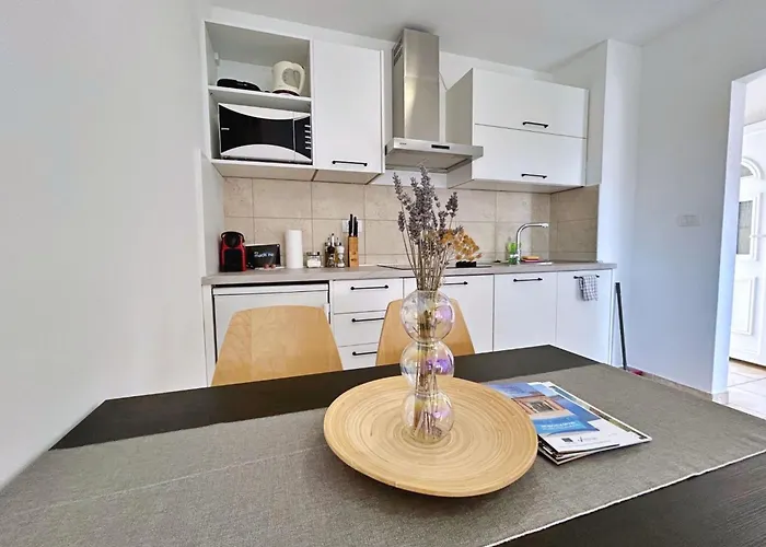 Pintadesol By Interhome Lägenhet Čižići